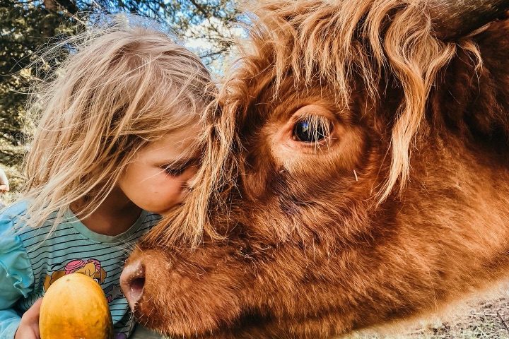 A Family’s Life on the Farm